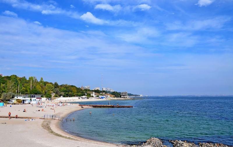 Greenwood Near Sea * Odesa